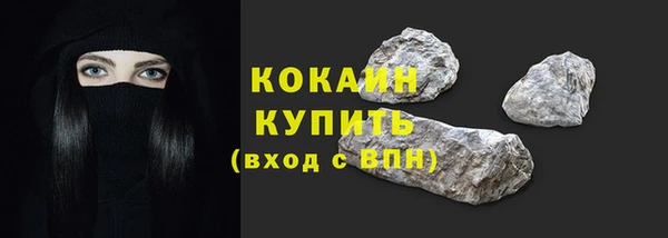 индика Абинск