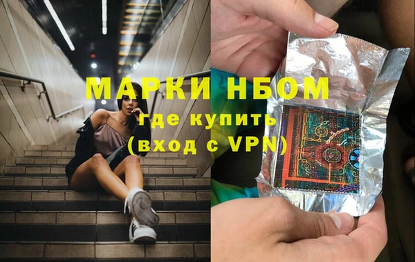 гидра Абаза