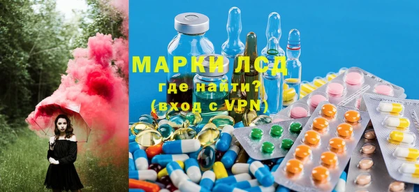 индика Абинск